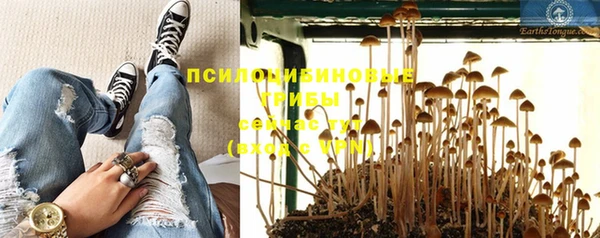 таблы Ессентукская