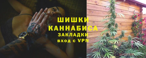 индика Каменка