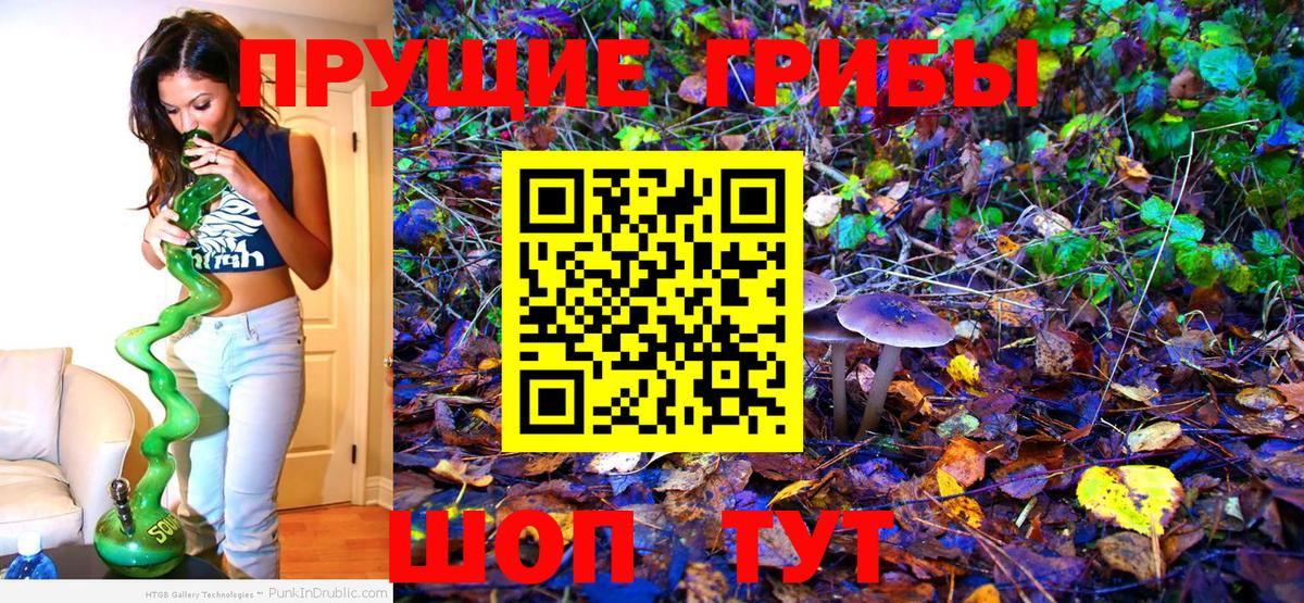 Галлюциногенные грибы Magic Shrooms Кохма