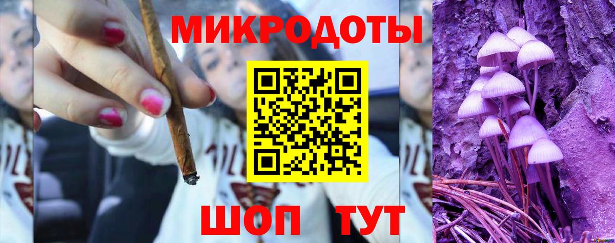 Кохма  Галлюциногенные грибы Psilocybe  Вход с VPN  Псилоцибиновые грибы мицелий 