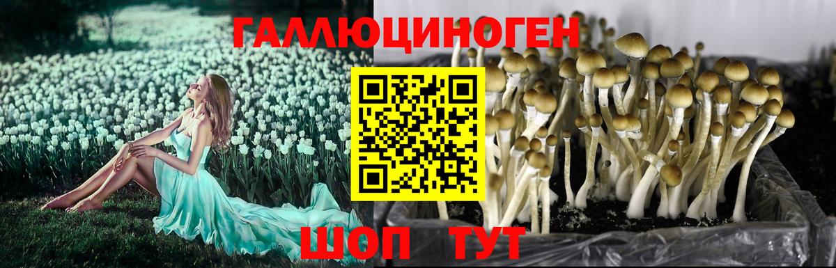 АМФЕТАМИН Кохма