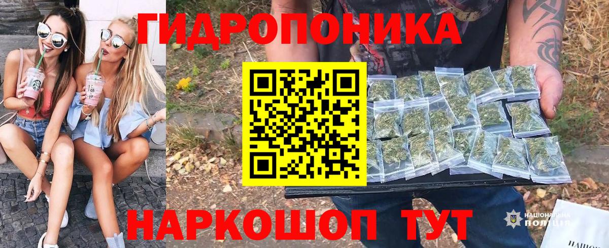 Каннабис индика  Вход с VPN  Кохма  Каннабис конопля  Шишки марихуана конопля 